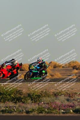 media/Jan-21-2023-CVMA (Sat) [[b9eef8ba1f]]/Race 12 Amateur Supersport Open/